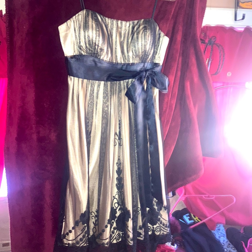 Dressbarn Collection Dress